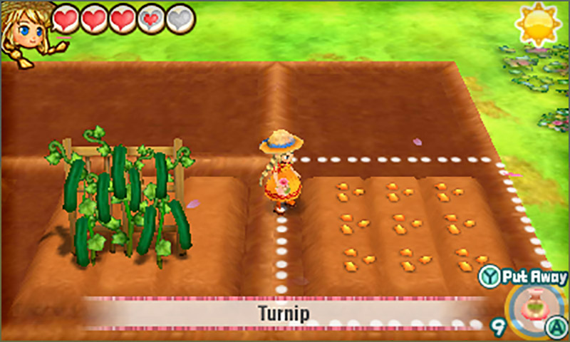 Story of Seasons: Trio of Towns - Growing Crops: Planting Seeds screenshot